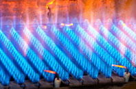 Blackridge gas fired boilers